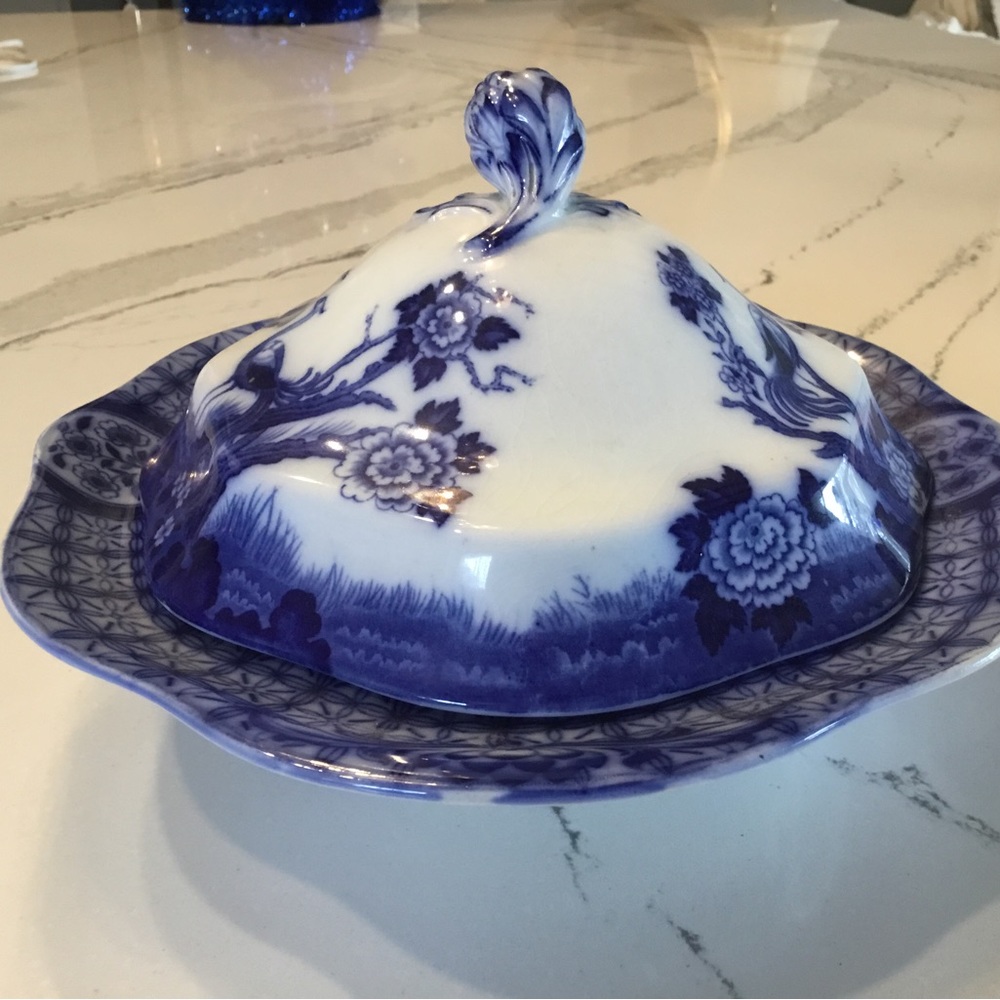 Vintage Peacocks Blue White Mongolia Johnson Brother English Dish